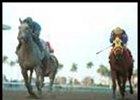 Spectacular Bid Stakes winner Maybrys Boy worked Wednesday.