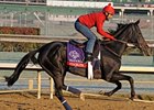 Post 2 for F&M Turf Favorite Stacelita Post 2 for F&M Turf Favorite Stacelita