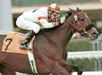 Persianlux Survives Inquiry, Wins San Luis Obispo Handicap Persianlux Survives Inquiry, Wins San Luis Obispo Handicap