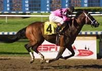 Mutuel Field Favored in First Round of Derby Future Wager Mutuel Field Favored in First Round of Derby Future Wager