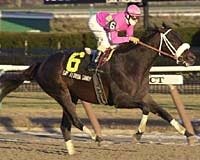 Say Florida Sandy Becomes Two-Time Gravesend Winner Say Florida Sandy Becomes Two-Time Gravesend Winner