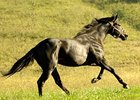 Morning Price Turns in Bullish OBS Work Morning Price Turns in Bullish OBS Work