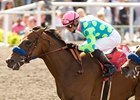 Noble Court is one of two entries for Trainer John Sadler in the Breeders' Cup Turf Sprint.