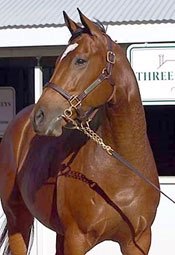 Signs Are Good for Strong Keeneland November Sale Signs Are Good for Strong Keeneland November Sale