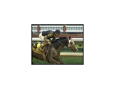 Kentucky Derby prospect Repent breezed three furlongs at Gulfstream Park Sunday.