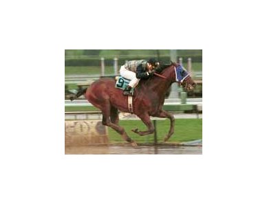 Corey Nakatani guides Skip to the Stone to victory in Sunday's $100,000 Baldwin Stakes at Santa Anita.