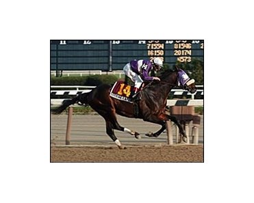 Naughty New Yorker runs off with the Red Smith Handicap, which was moved from turf to the main track.