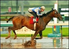 Congrats Can End Drought in Tokyo City Cup Congrats Can End Drought in Tokyo City Cup