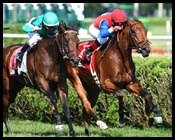 Nunatall Takes It All in Saratoga Feature Nunatall Takes It All in Saratoga Feature