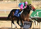 World Mark for 6 Panels Set at Turf Paradise World Mark for 6 Panels Set at Turf Paradise