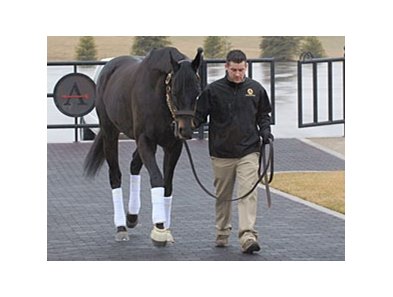 Einstein arrives at Adena Springs on Jan. 21.