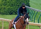 Devil May Care worked 5 furlongs in 1:00 1/5 at Churchill Downs on April 24.<br><a target="blank" href="http://www.bloodhorse.com/horse-racing/photo-store?ref=http%3A%2F%2Fpictopia.com%2Fperl%2Fgal%3Fprovider_id%3D368%26ptp_photo_id%3D8923551%26ref%3Dstory">Order This Photo</a>