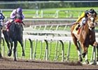 Sunshine Millions Sprint winner Captain Squire hopes to tune-up for Oct. 29 in Saturday's Ancient Title.
