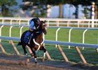 Rachel Alexandra in Bullet Work at Saratoga Rachel Alexandra in Bullet Work at Saratoga