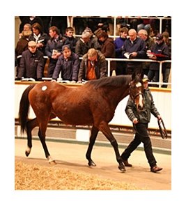 Twyla Tharp, lot 1511 and dam of The Fugue, sold for 1,700,000 guineas ($2,872,190).