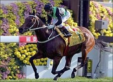 Silent Witness Best in Sprint; Battle Won Finishes in Mid-Pack Silent Witness Best in Sprint; Battle Won Finishes in Mid-Pack