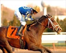 Pletcher, Purge Continue Surge in Cigar Mile Pletcher, Purge Continue Surge in Cigar Mile