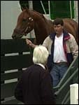 Point Given Arrives at Churchill Downs; Next Work Tuesday Point Given Arrives at Churchill Downs; Next Work Tuesday
