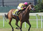 Stradivinsky is in control in the Jaipur Stakes.<br><a target="blank" href="http://www.bloodhorse.com/horse-racing/photo-store?ref=http%3A%2F%2Fpictopia.com%2Fperl%2Fgal%3Fprovider_id%3D368%26ptp_photo_id%3D9110078%26ref%3Dstory">Order This Photo</a>