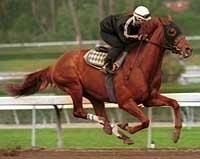 Point Given 2-1 Favorite as Derby Future Wager Closes Point Given 2-1 Favorite as Derby Future Wager Closes