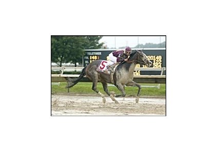 Grand Hombre defection benefits American entries.