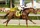 Naissance Royale draws off in the Las Palmas.<br><a target="blank" href="http://www.bloodhorse.com/horse-racing/photo-store?ref=http%3A%2F%2Fpictopia.com%2Fperl%2Fgal%3Fprovider_id%3D368%26ptp_photo_id%3D2692642%26ref%3Dstory">Order This Photo</a>