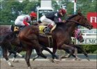 Sightseeing will be one of 6 horses trying to topple Street Sense in the Travers.<br><a target="blank" href="http://www.bloodhorse.com/horse-racing/photo-store?ref=http%3A%2F%2Fpictopia.com%2Fperl%2Fgal%3Fprovider_id%3D368%26ptp_photo_id%3D1237962%26ref%3Dstory">Order This Photo</a>