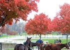 Court Vision's Half Brother Tops at Keeneland Court Vision's Half Brother Tops at Keeneland