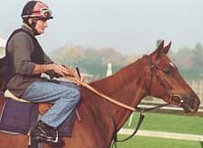 Champion Petrushka Retired Due to Tendon Injury Champion Petrushka Retired Due to Tendon Injury