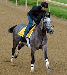 Paddy O'Prado 'Pretty Spectacular' in Work Paddy O'Prado 'Pretty Spectacular' in Work