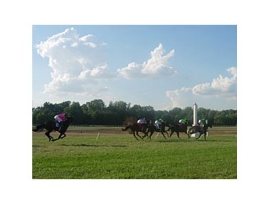 Kentucky Downs