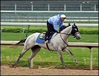 Preachinatthebar Out of Kentucky Derby Preachinatthebar Out of Kentucky Derby