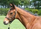 JRHA Select Sale Set to Begin JRHA Select Sale Set to Begin
