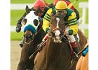 Unspoken Word seeks win in Tuzla after second-place finish in La Brea Stakes (gr. I).