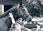 Haskin's Belmont Report: Remembering Big Red Haskin's Belmont Report: Remembering Big Red