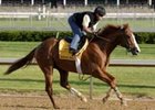 New Derby Contender Bwana Bull Works at Churchill New Derby Contender Bwana Bull Works at Churchill