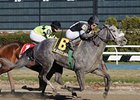 R Betty Graybull<br><a target="blank" href="http://www.bloodhorse.com/horse-racing/photo-store?ref=http%3A%2F%2Fpictopia.com%2Fperl%2Fgal%3Fprovider_id%3D368%26ptp_photo_id%3D9587283%26ref%3Dstory">Order This Photo</a>