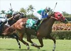 Dead Red right on target in Calder Turf Sprint.