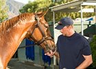 Tim Ice with Summer Bird.<br><a target="blank" href="http://www.bloodhorse.com/horse-racing/photo-store?ref=http%3A%2F%2Fpictopia.com%2Fperl%2Fgal%3Fprovider_id%3D368%26ptp_photo_id%3D8604037%26ref%3Dstory">Order This Photo</a>