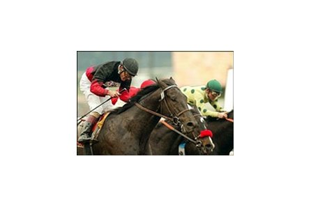 Rock Hard Ten carries Gary Stevens to victory in the Malibu Stakes during opening day at Santa Anita.