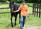 War Emblem Filly Scores Big in Japan War Emblem Filly Scores Big in Japan