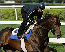 Bernardini Has Easy Breeze for Travers Bernardini Has Easy Breeze for Travers