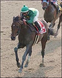 Mineshaft Impresses in Suburban; Volponi Second, Again Mineshaft Impresses in Suburban; Volponi Second, Again