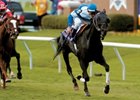 Better Talk Now Retired Due to Injury Better Talk Now Retired Due to Injury