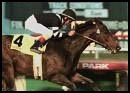 Hollywood Park Race Report: The Strongest Link Hollywood Park Race Report: The Strongest Link