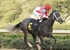 Filly Eight Belles is among the 110 nominees for the Arkansas Derby.<br><a target="blank" href="http://www.bloodhorse.com/horse-racing/photo-store?ref=http%3A%2F%2Fpictopia.com%2Fperl%2Fgal%3Fprovider_id%3D368%26ptp_photo_id%3D3918866%26ref%3Dstory">Order This Photo</a>