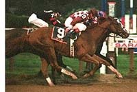 City Zip, Yonaguska Dead Heat in Hopeful City Zip, Yonaguska Dead Heat in Hopeful