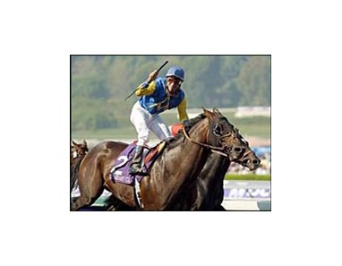 Dodge Classic winner Pleasantly Perfect in final preparations for Sunday's Pacific Classic.