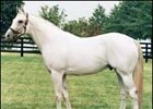 Alphabet Soup Colt Tops Third OBSC Open Session Alphabet Soup Colt Tops Third OBSC Open Session