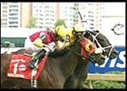Summer Colony (inside) heads the field for Saturday's Beldame Stakes.